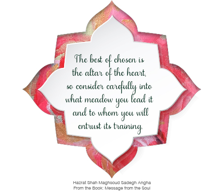 The Human Being as a Complete Book